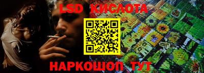мдма Новозыбков