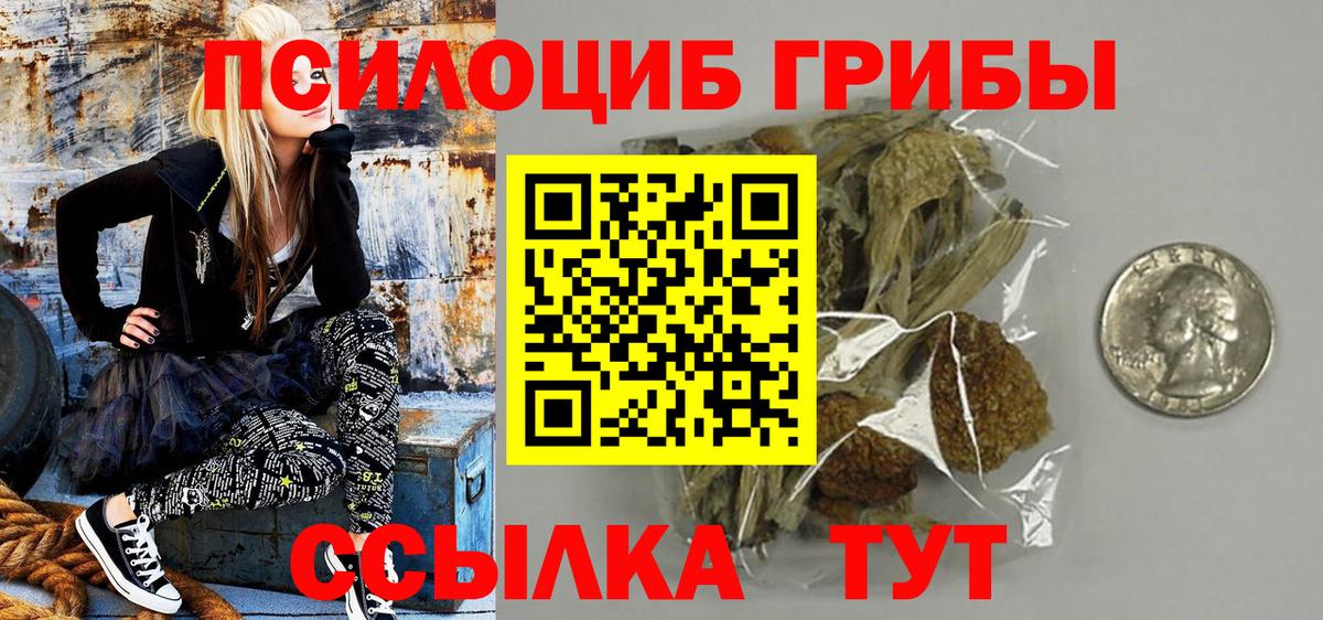 Псилоцибиновые грибы Psilocybe Прохладный
